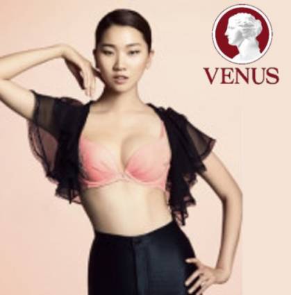 维纳斯（1954年成立的韩国内衣品牌）